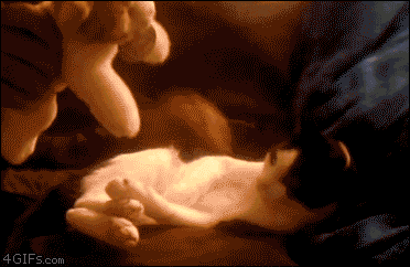 cat_hugs.gif