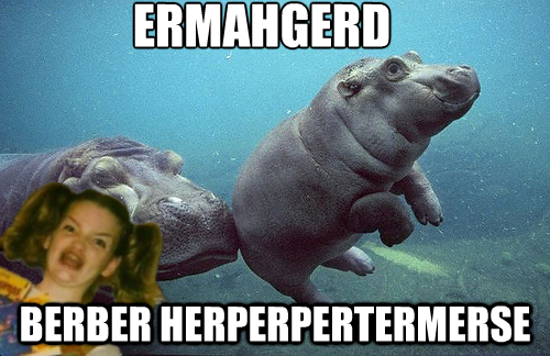 ermahgerd_berber_herperpertermerse.png
