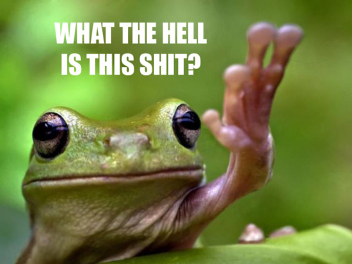 frog_says_wtfits.jpg
