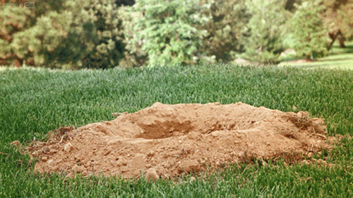 gopher_is_wary.gif