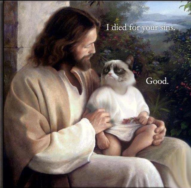 grumpy_cat_lubs_jeebus.jpg