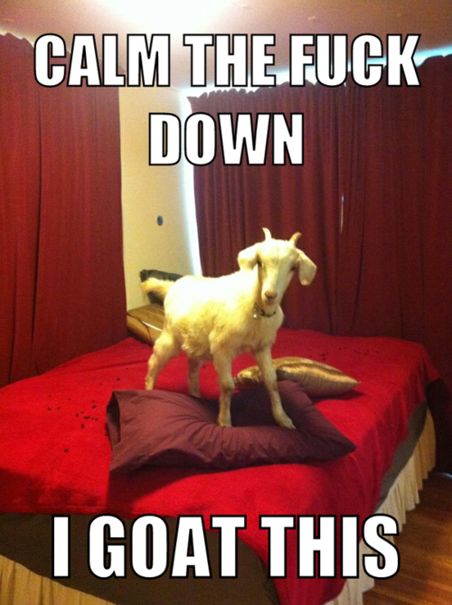 i_goat_this.png