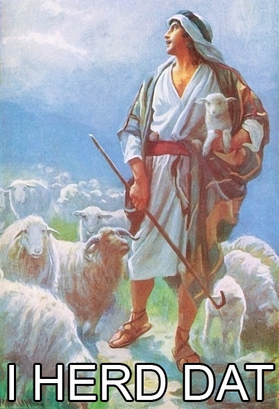 i_herd_dat.jpg