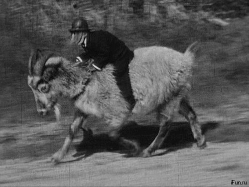 monkey_goat.gif