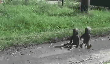 mud_is_great_gramma.gif