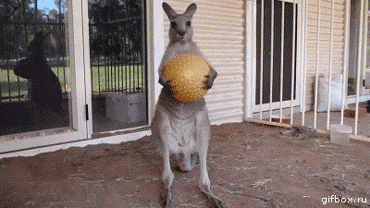 no_more_playtime.gif