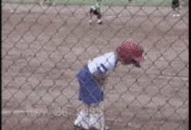 nuts_about_bats_and_gravity.gif