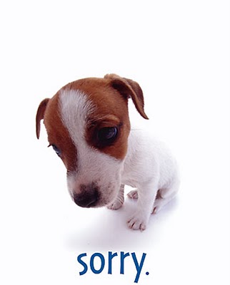 sorry_puppy.jpeg
