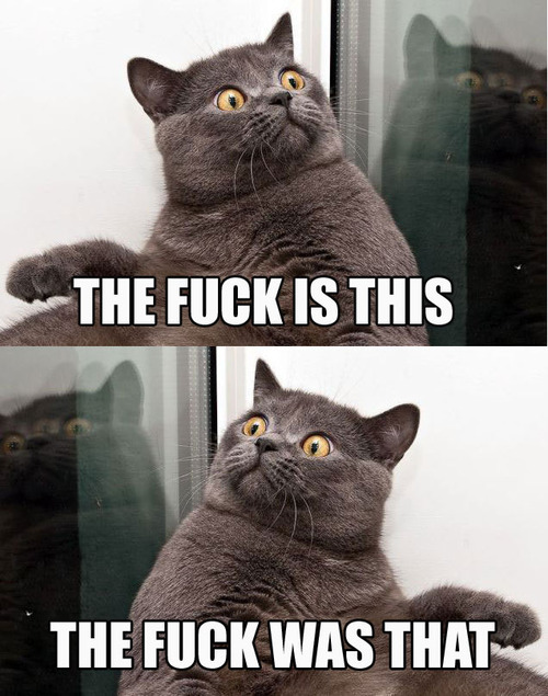 thefucks.jpg